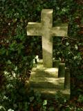 image of grave number 188106